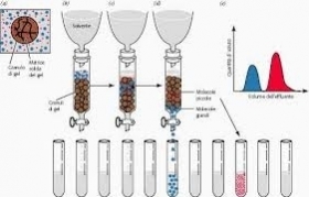 Analisi HPLC con sistema cromatografico a multirivelatori  (B.1) - APM S.r.l.