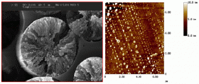 Analisi morfologica  con microsocopio elettronico a scansione (cod. G.2_ME) - APM S.r.l.